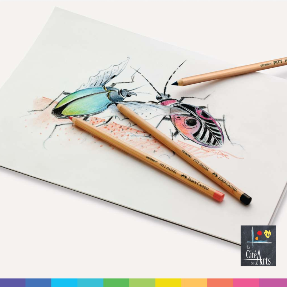 Pastel Pitt de Faber Castell